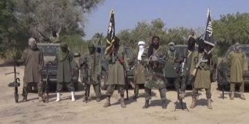 NO LOCAL GOVERNMENT UNDER BOKO HARAM CONTROL – Borno Indigenes