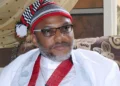 Nnamdi Kanu: After The Tempest, A Breath of Fresh Air