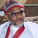 Nnamdi Kanu: After The Tempest, A Breath of Fresh Air