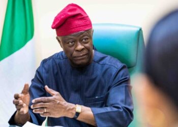 Why I Share in Wale Edun’s Optimism On The Nigerian Economy