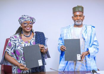Nigeria Leads Regional Push for Democratic Reform with UNDP