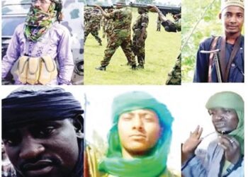 16 Major Bandits Killed in Nigeria Over the Last Two Years