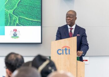 Wale Edun Champions Nigeria–Brazil Economic Cooperation in São Paulo