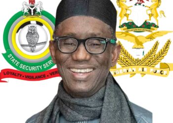 Improved Coordination Under NSA Yields Major Breakthroughs Against Terrorists Across Nigeria