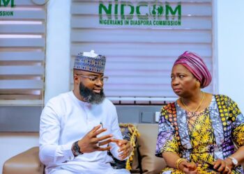 NASENI, NiDCOM Partner on Reverse Japa Initiative to Harness Diaspora Expertise