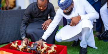 Khalil Halilu Celebrates Seyi Tinubu on His Birthday, Commends His Youthful Leadership and Impact