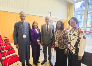 Nigeria Champions Middle-Power Diplomacy and Green Finance at the Berlin Global Dialogue