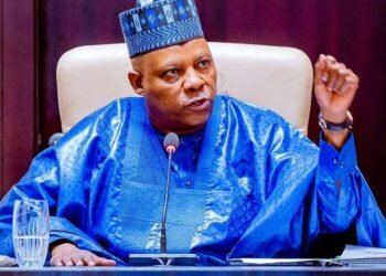 Shettima Pushes Skills-to-Jobs Agenda as FG Rallies Global Partners