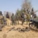 Troops Raid Bandit Camps in Bauchi, Rescue Eight Hostages