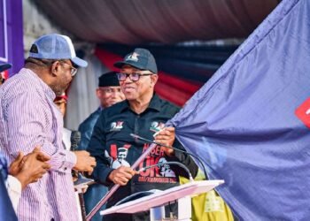 Obi Promises Security, Jobs and Power Reforms After Securing NDC Nomination