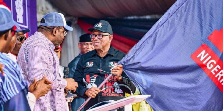 Obi Promises Security, Jobs and Power Reforms After Securing NDC Nomination