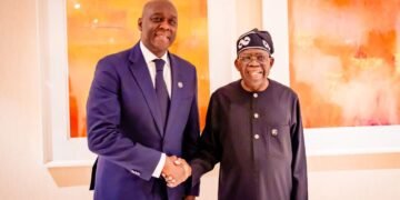 Nigeria, IFC Discuss Private Capital for Energy, Housing, Livestock