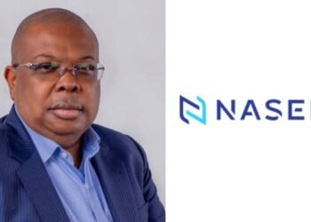 A Strategic Roadmap for Nigeria’s New Power Minister – Muhammed Dahiru