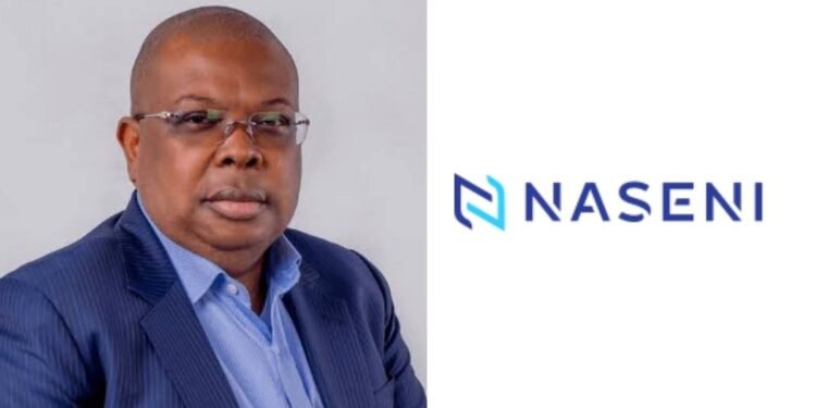 A Strategic Roadmap for Nigeria’s New Power Minister – Muhammed Dahiru