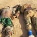 Troops Repel ISWAP Attack on Gonori, Kill Scores in Air-Land Offensive