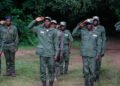 What Do We Know About the Forest Guards?