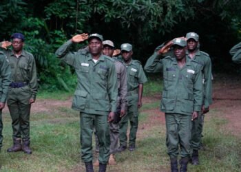What Do We Know About the Forest Guards?