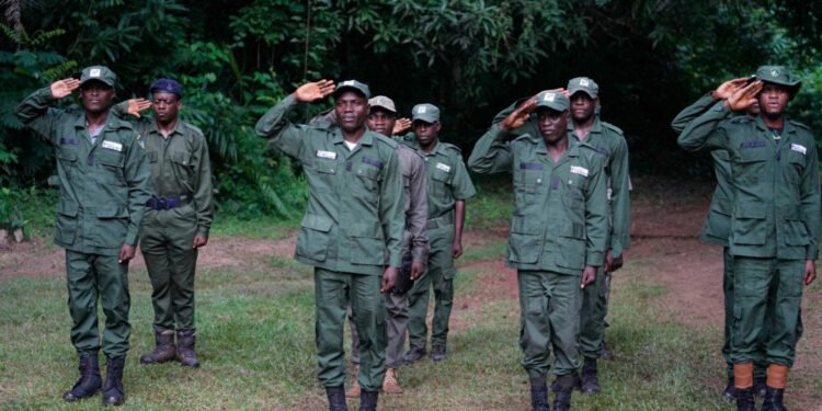 What Do We Know About the Forest Guards?