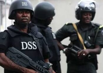 DSS Reviews Military-Era Watchlists, Clarifies Ndibe Incident