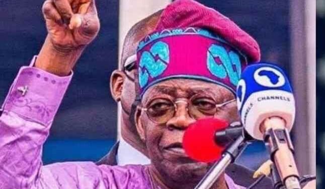 T-Pain to T-Gain: How Tinubu is fixing Nigeria