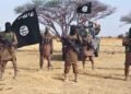 Three ISWAP Commanders, Over 22 Fighters Reportedly Killed in Mandaragirau Clash