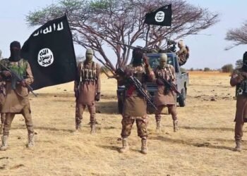 Three ISWAP Commanders, Over 22 Fighters Reportedly Killed in Mandaragirau Clash