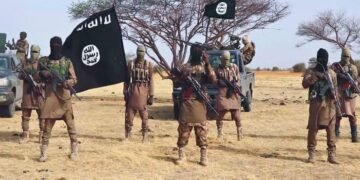 Three ISWAP Commanders, Over 22 Fighters Reportedly Killed in Mandaragirau Clash