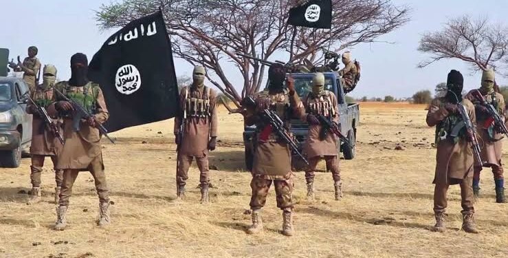 Three ISWAP Commanders, Over 22 Fighters Reportedly Killed in Mandaragirau Clash